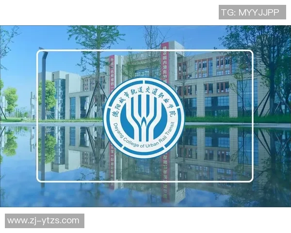 全面解析沐鸣2平台的多项功能与使用优势