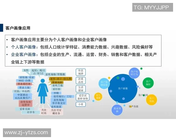 聚焦娱乐行业数据分析助力决策优化与战略制定